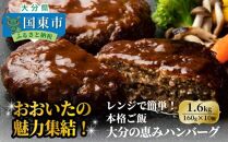 おおいたの魅力集結！大分の恵みハンバーグ 1.6kg（160g×10個）_2146R