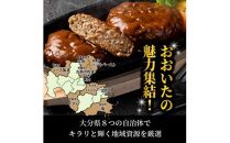 おおいたの魅力集結！大分の恵みハンバーグ 1.6kg（160g×10個）_2146R