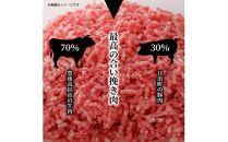 おおいたの魅力集結！大分の恵みハンバーグ 1.6kg（160g×10個）_2146R