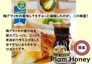 ふみこ農園&nbsp;梅グラッセ&梅蜜セット（小）&nbsp;［FN5］