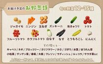 【定期便 全3回】江藤農園おすすめ 湯布院の旬の野菜（12～15種類！）詰め合わせ
