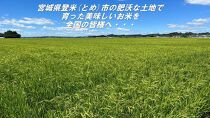 【冷蔵米】令和５年宮城県登米市産「ひとめぼれ」10kg×1袋