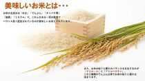 【冷蔵米】令和５年宮城県登米市産「ひとめぼれ」10kg×1袋