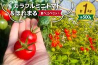 トマト カラフル ミニトマト & ほれまる 各500g