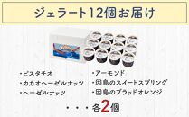 ★こだわりの素材がつむぎ出すプレミアムな味わい！スぺチャーレギフト12個入り（6種類）