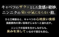 【定期便3ヶ月コース】神戸名物 味噌だれ餃子2種／計100個（50個×2パック） ×3回