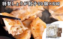 【定期便6ヶ月コース】神戸名物 味噌だれ餃子2種／計100個（50個×2パック） ×6回