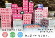ご家庭向け！不知火(しらぬひ)　約5kg