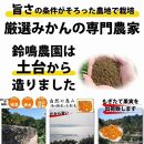 みかん 3kg ＜12月20日までのご注文は年内配送＞ ご家庭用　和歌山県有田川町産　有田みかん ありだみかん