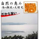 みかん 3kg ＜12月20日までのご注文は年内配送＞ ご家庭用　和歌山県有田川町産　有田みかん ありだみかん