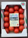 【数量・季節限定2024年2月から5月発送】那須の五峰美トマト（糖度8度以上、約2kg）