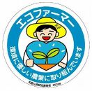 採れたてタネなし柿“2L”サイズ7.5kg＜2024年10月中旬～10月下旬頃発送予定＞