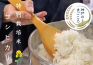 特別栽培米 神戸のまごころ コシヒカリ 精米