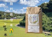 特別栽培米 神戸のまごころ コシヒカリ 玄米　5kg