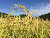 特別栽培米 神戸のまごころ コシヒカリ 玄米　5kg