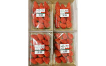 六甲ゆめいちご1箱&nbsp;約250g×4パック