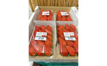 六甲ゆめいちご1箱&nbsp;約250g×4パック