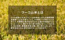 【全5回定期便】ヴォレアス北海道 応援米（旭川産ななつぼし2kg×4袋）計40kg【プロスポーツ選手も愛用!!】_01934