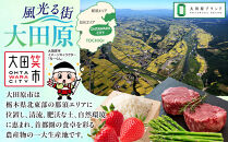 Nikon&nbsp;AF-S&nbsp;NIKKOR&nbsp;800mm&nbsp;f/5.6E&nbsp;FL&nbsp;ED&nbsp;VR