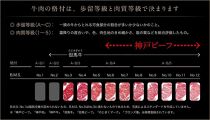 【西村ミートショップ】神戸牛 焼肉王道セット 500g（ロース＆カルビ 各250ｇ）