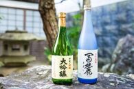 富士山の日本酒　甲斐の開運　純米大吟醸・大吟醸 飲み比べセット