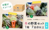 農家直送 春野菜セット 1箱 7品目以上 《元気に育った新鮮野菜！》