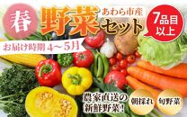 【先行予約】農家直送 春野菜セット 1箱 7品目以上 《元気に育った新鮮野菜！》 ※2025年4月下旬以降順次発送予定