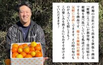 旬の柑橘食べ比べ 柑橘ごろごろ 3種 箱込 5kg(内容量約 4.4kg) 秀品 優品 混合 和歌山県産 産地直送 【おまけ付き】【みかんの会】