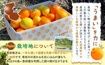 旬の柑橘食べ比べ&nbsp;柑橘ごろごろ&nbsp;3種&nbsp;箱込&nbsp;5kg(内容量約&nbsp;4.4kg)&nbsp;秀品&nbsp;優品&nbsp;混合&nbsp;和歌山県産&nbsp;産地直送&nbsp;【おまけ付き】【みかんの会】