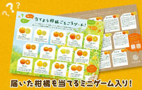 旬の柑橘食べ比べ&nbsp;柑橘ごろごろ&nbsp;3種&nbsp;箱込&nbsp;7.5kg(内容量約&nbsp;6.8kg)&nbsp;秀品&nbsp;優品&nbsp;混合&nbsp;和歌山県産&nbsp;産地直送&nbsp;【おまけ付き】【みかんの会】