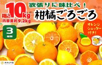 旬の柑橘食べ比べ 柑橘ごろごろ 3種 箱込 10kg(内容量約 9.2kg) 秀品 優品 混合 和歌山県産 産地直送 【おまけ付き】【みかんの会】