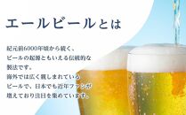 【2箱セット】サントリー　ザ・プレミアム・モルツ〈香るエール〉（500ml×24本）×2箱