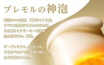 【2箱セット】サントリー　ザ・プレミアム・モルツ（500ml×24本）×2箱