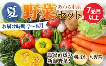 【先行予約】農家直送 夏野菜セット 1箱 7品目以上 《元気に育った新鮮野菜！》※2025年7月中旬以降発送