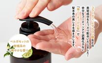 【九頭龍シャンプー】（500ml）「身体の美」「心の美」「行動の美」の3つの美に注目した全身洗えるシャンプー | 美容 シャンプー ヘアケア 美容シャンプー 髪 スキンケア 日用品 人気 おすすめ プレゼント ギフト 保湿 頭皮ケア 子供用 敏感肌用 オーガニック 送料無料 神奈川 箱根