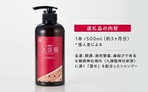 【九頭龍シャンプー】（500ml）「身体の美」「心の美」「行動の美」の3つの美に注目した全身洗えるシャンプー | 美容 シャンプー ヘアケア 美容シャンプー 髪 スキンケア 日用品 人気 おすすめ プレゼント ギフト 保湿 頭皮ケア 子供用 敏感肌用 オーガニック 送料無料 神奈川 箱根