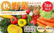 【先行予約】農家直送 秋野菜セット 1箱 7品目以上 《元気に育った新鮮野菜！》※2024年10月下旬以降発送