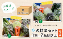 【先行予約】農家直送 冬野菜セット 1箱 7品目以上 《元気に育った新鮮野菜！》※2024年12月上旬以降発送