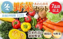 【先行予約】農家直送 冬野菜セット 1箱 7品目以上 《元気に育った新鮮野菜！》※2024年12月上旬以降発送