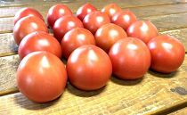 渡邉農園の「五峰美トマト」1箱 約2kg 栃木県大田原市産