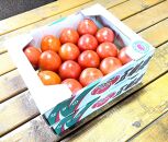 渡邉農園の「五峰美トマト」2箱 約4kg 栃木県大田原市産