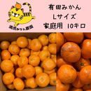 訳あり温州みかん 家庭用 10kg (Lサイズ指定)