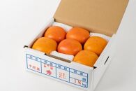 生渋柿たね無&nbsp;あんぽ柿用T軸枝無約1.5～2kg　6～12玉＜2026年10月中旬～11月上旬ごろ順次発送＞【ART14】