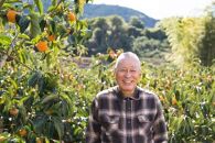 生渋柿たね無&nbsp;あんぽ柿用T軸枝無約1.5～2kg　6～12玉＜2026年10月中旬～11月上旬ごろ順次発送＞【ART14】