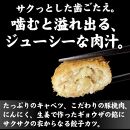 【ギョーザ専門店イチロー】餃子カツ20個（神戸ポークプレミアム100%使用）