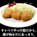 【ギョーザ専門店イチロー】餃子カツ20個（神戸ポークプレミアム100%使用）