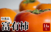 【特選品】岐阜県大野町産　富有柿&nbsp;L&nbsp;14個入り【2026年11月下旬～発送】