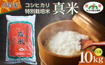 伊賀米コシヒカリ特別栽培米「真米」白米10kg