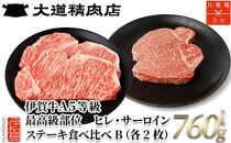 伊賀牛 A5ヒレ・サーロイン 食べ比べステーキセットB 総合計約760g【最高級部位】