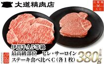 伊賀牛 A5ヒレ・サーロイン 食べ比べステーキセットC 総合計約380g【最高級部位】